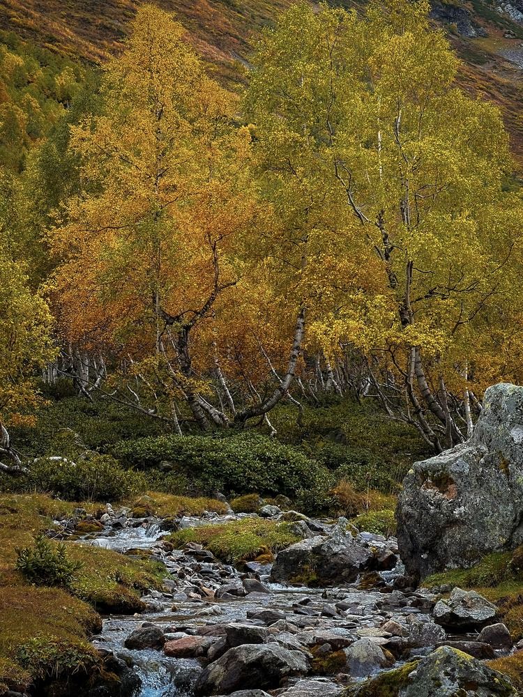 Photograph by Анастасия Дулова