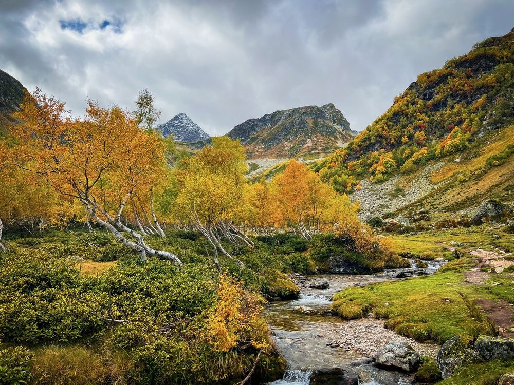 Photograph by Анастасия Дулова