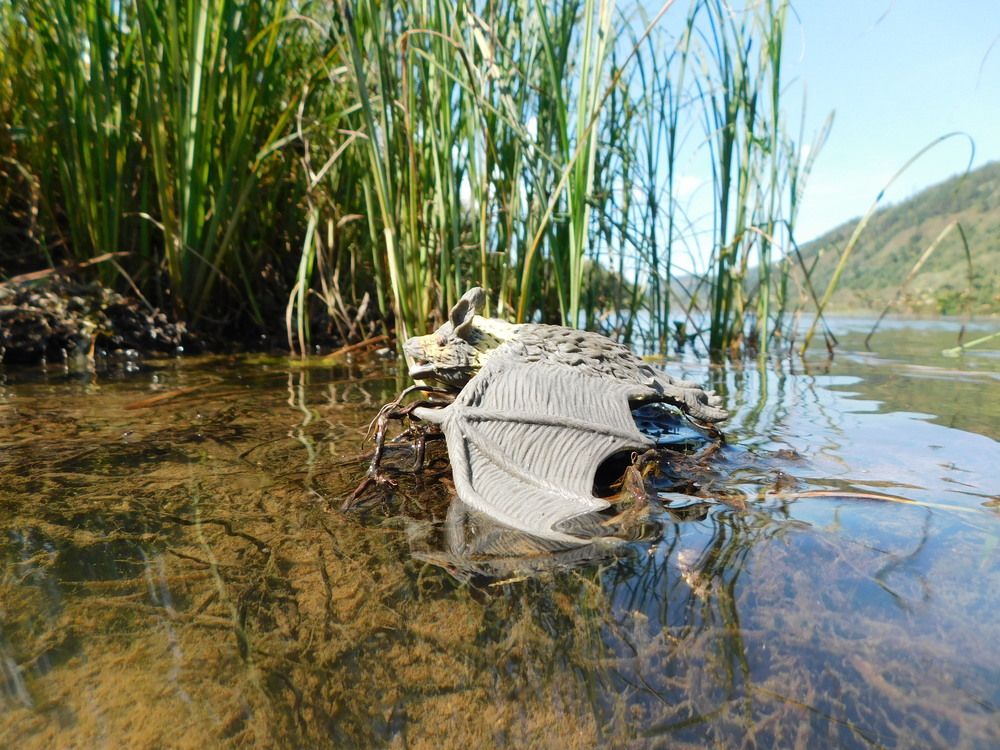 Photograph by Александр Прядко