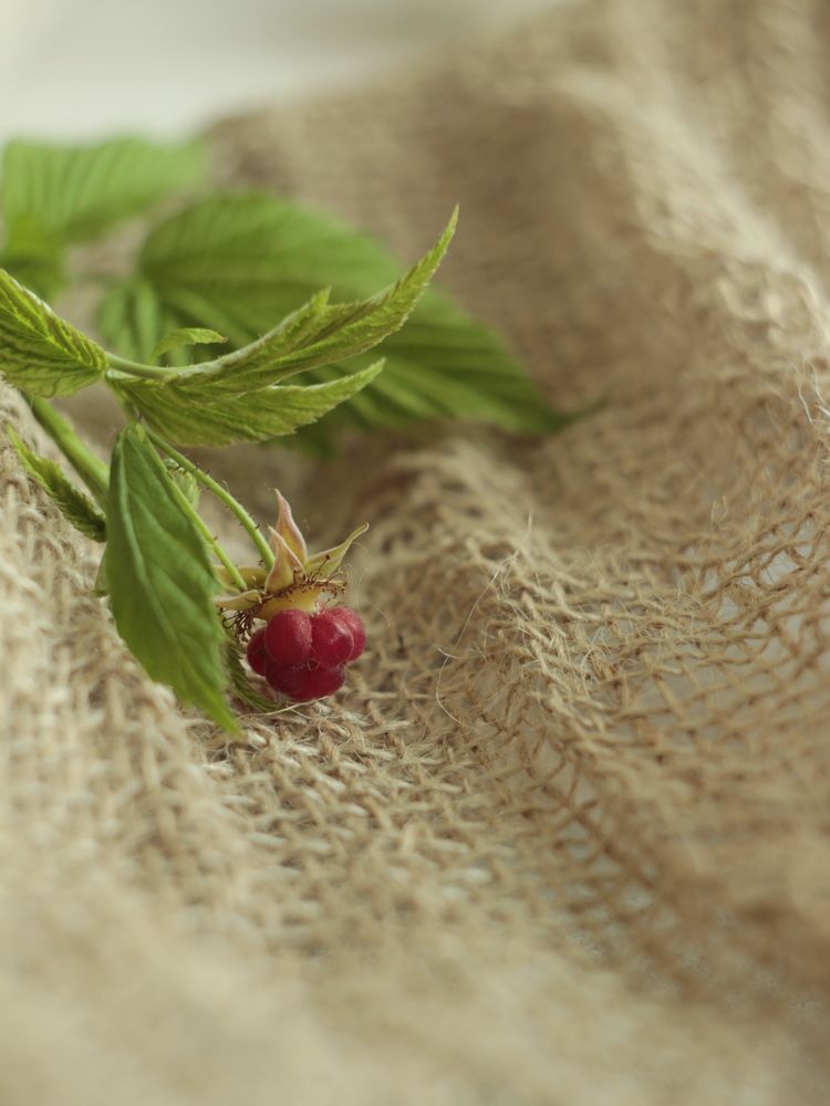 Photograph by Альфия