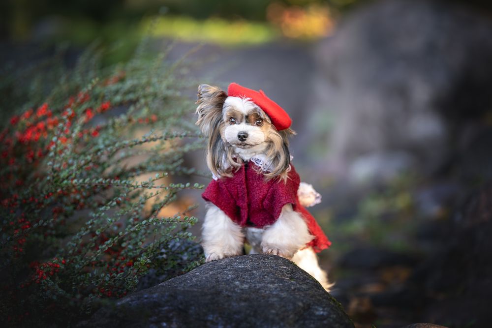 Photograph by Ирина Голомб