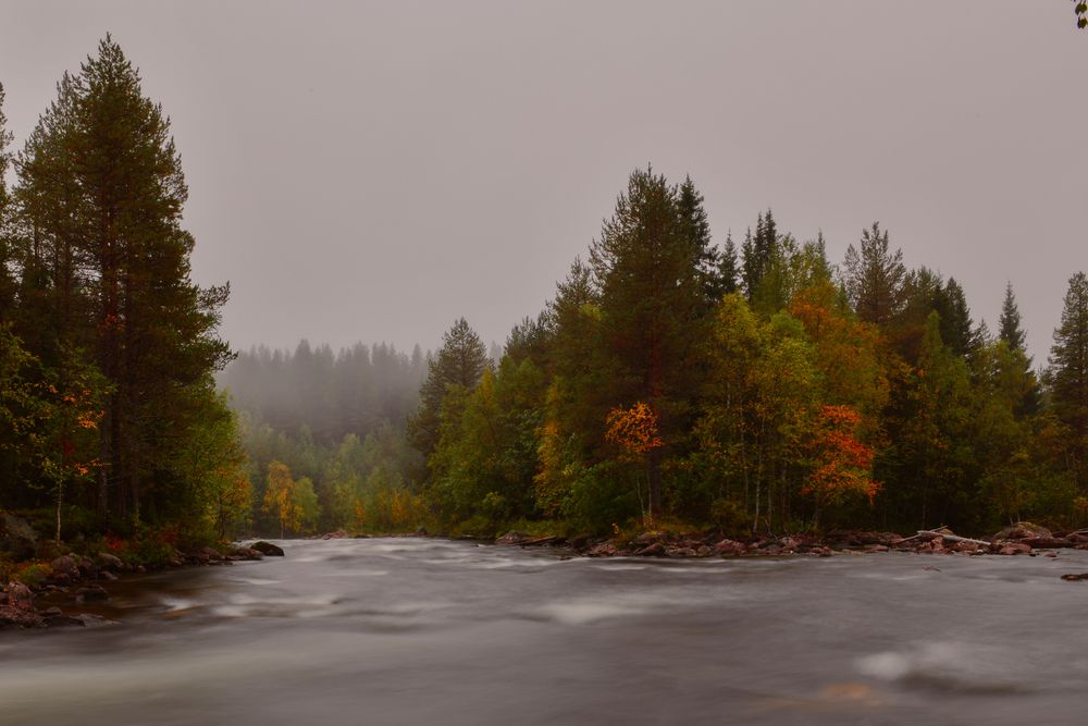 Photograph by Олег Корешонков