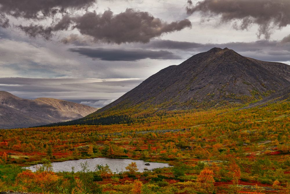 Photograph by Олег Корешонков