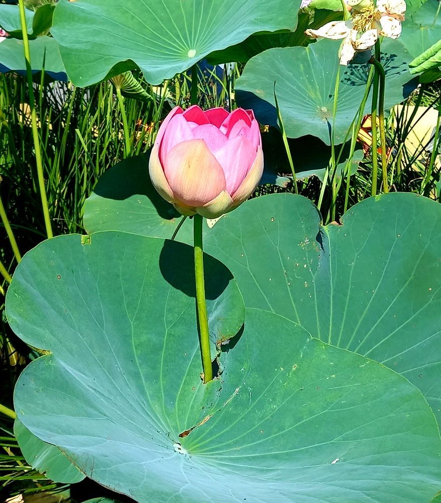 Photograph by Ольга Юрченко