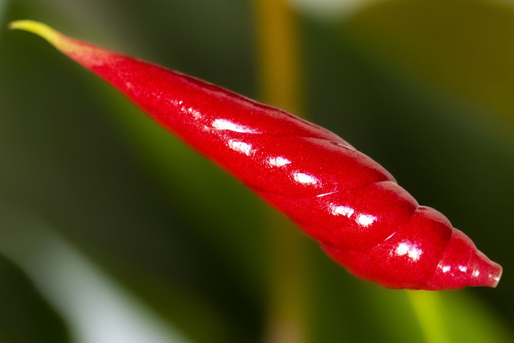 Photograph by Екатерина Караваева