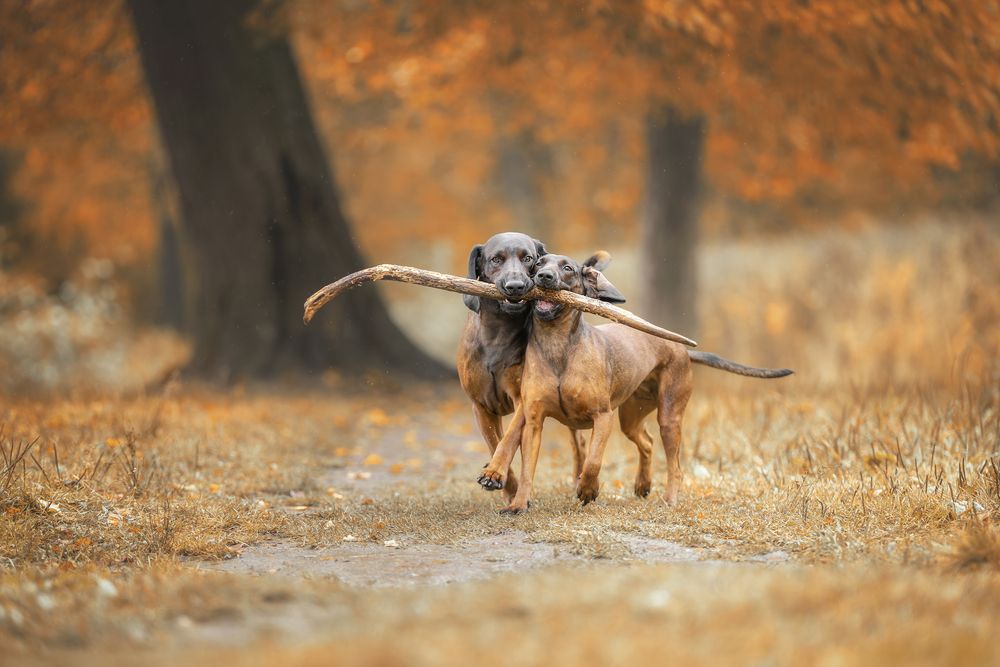 Photograph by Зубкова Юлия