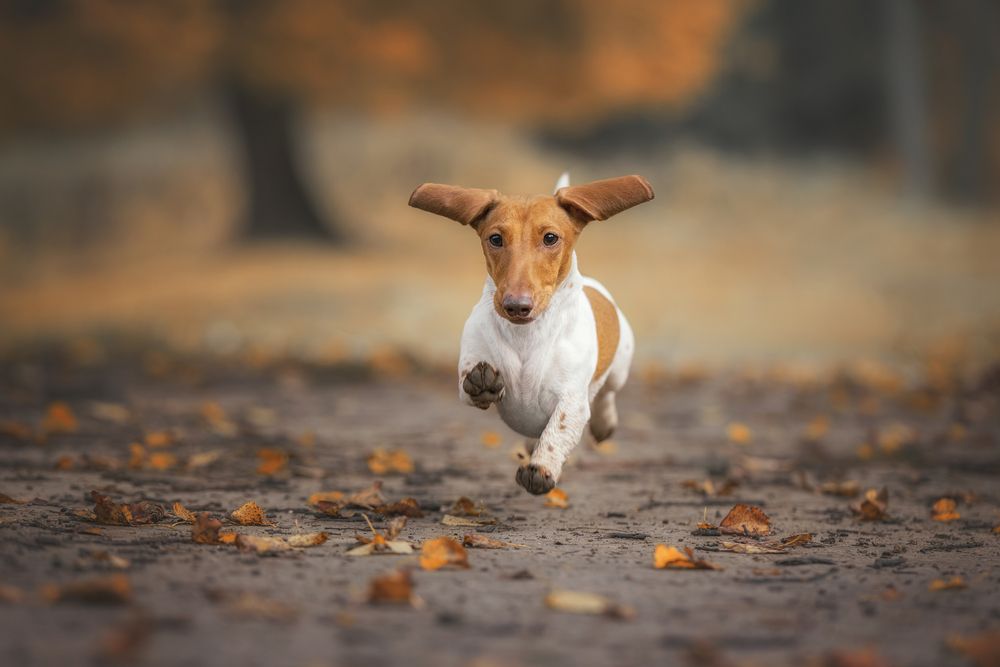 Photograph by Зубкова Юлия