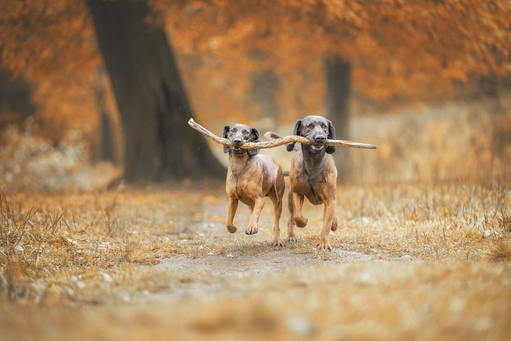 Photograph by Зубкова Юлия