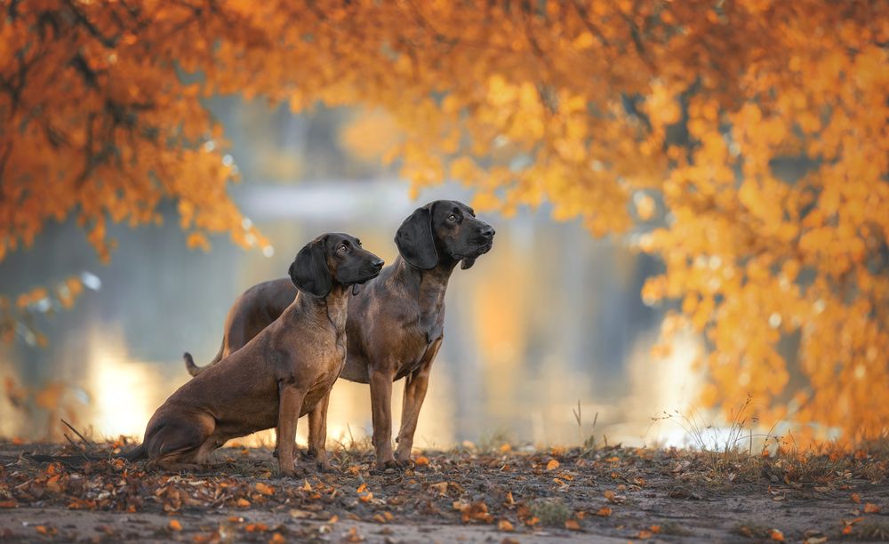 Photograph by Зубкова Юлия