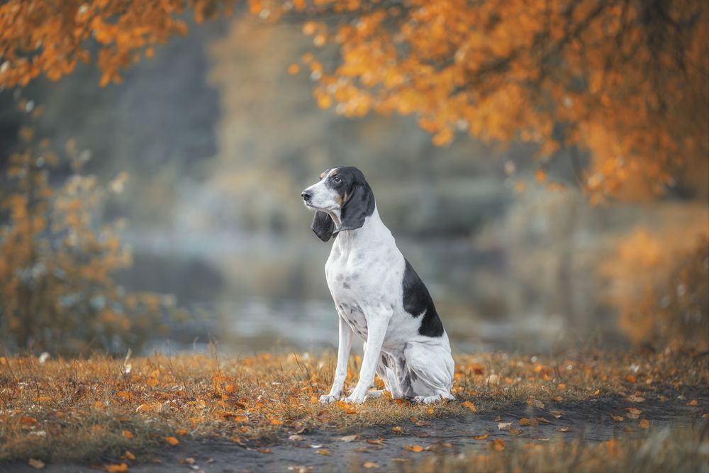 Photograph by Зубкова Юлия