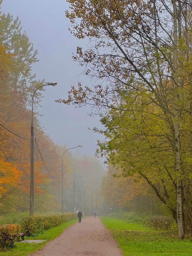 Photograph by Николай Туманов