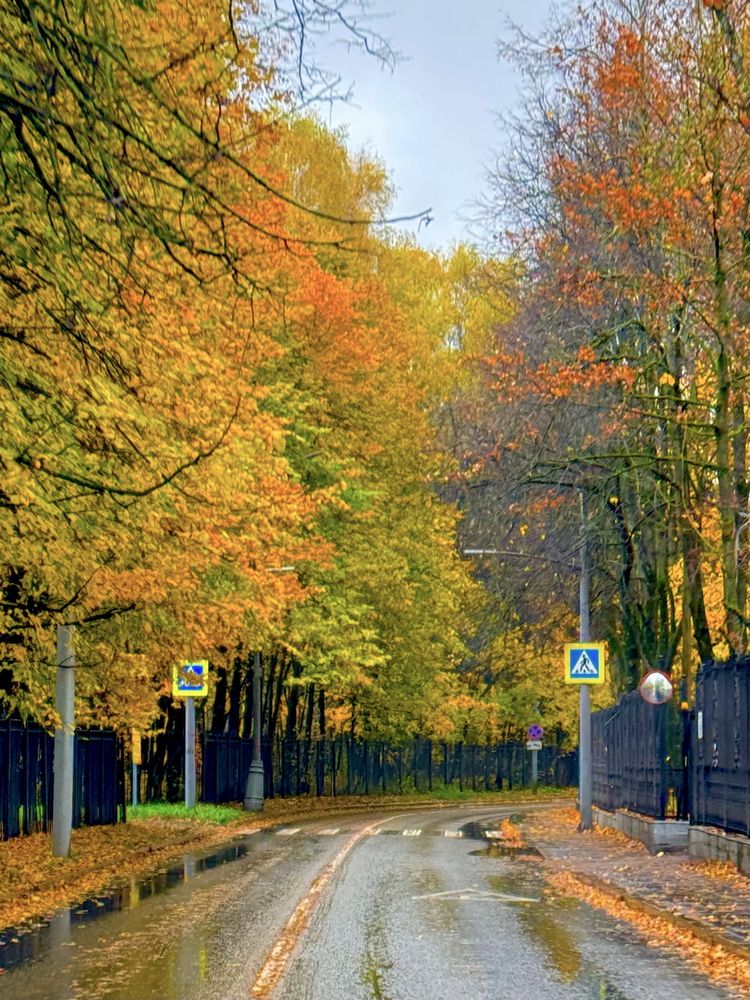 Photograph by Николай Туманов