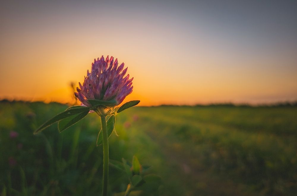 Photograph by Кирилл Сидоров