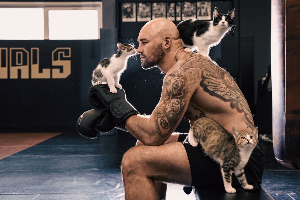 Добро с кулаками