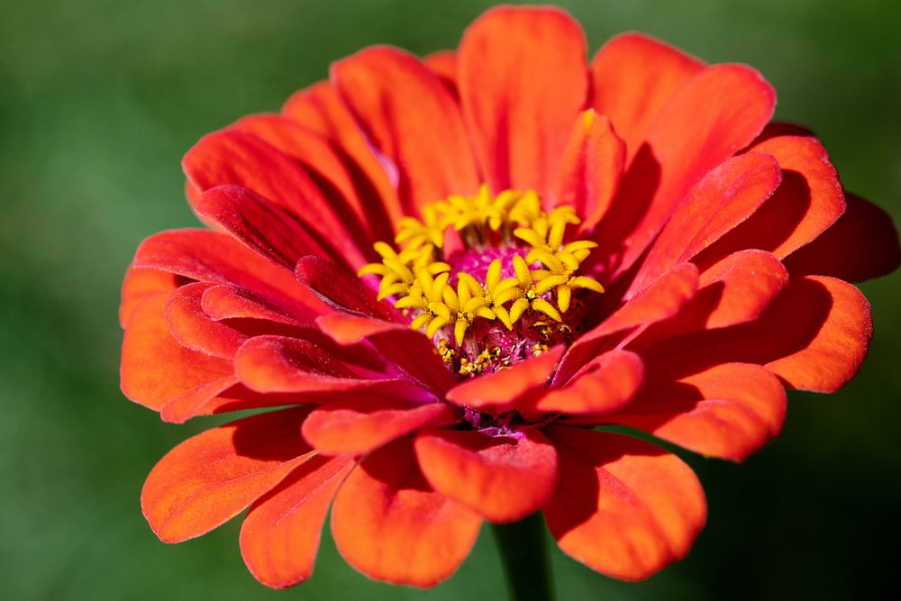 Photograph by Екатерина Караваева