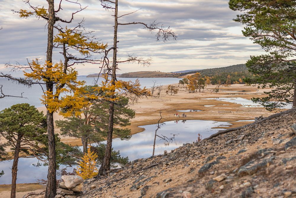 Photograph by Александр Перегоненко