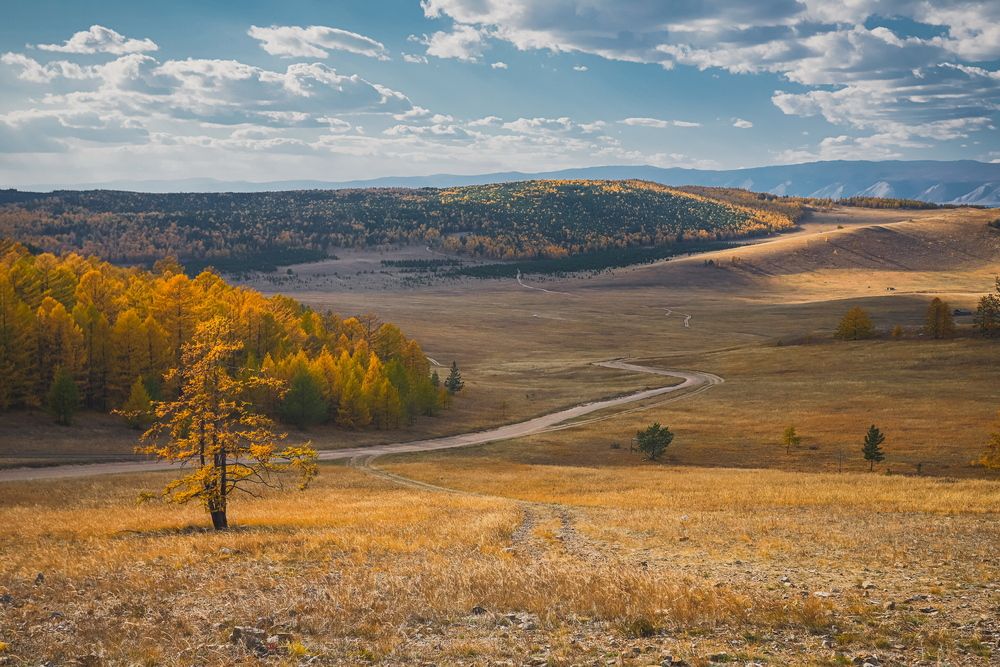Photograph by Александр Перегоненко