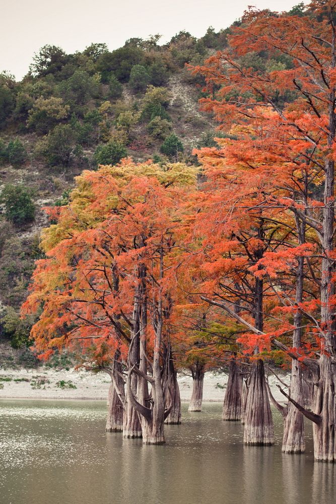 Photograph by Александр Перегоненко