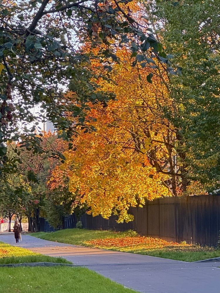 Photograph by Николай Туманов