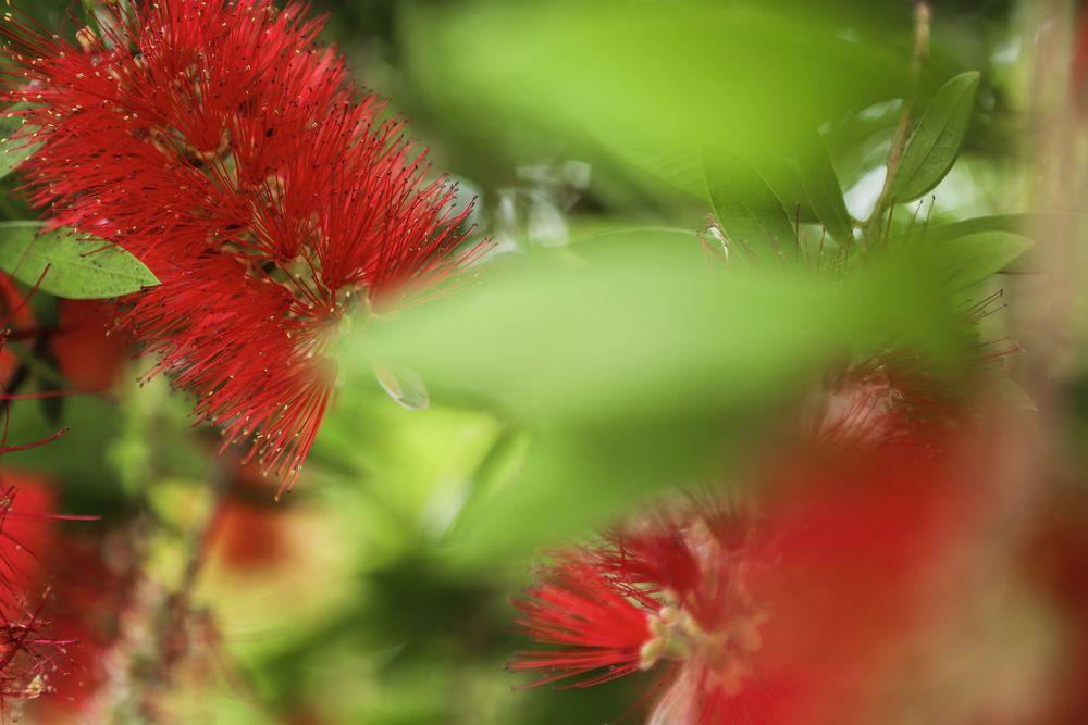 Photograph by Fernando Tavares