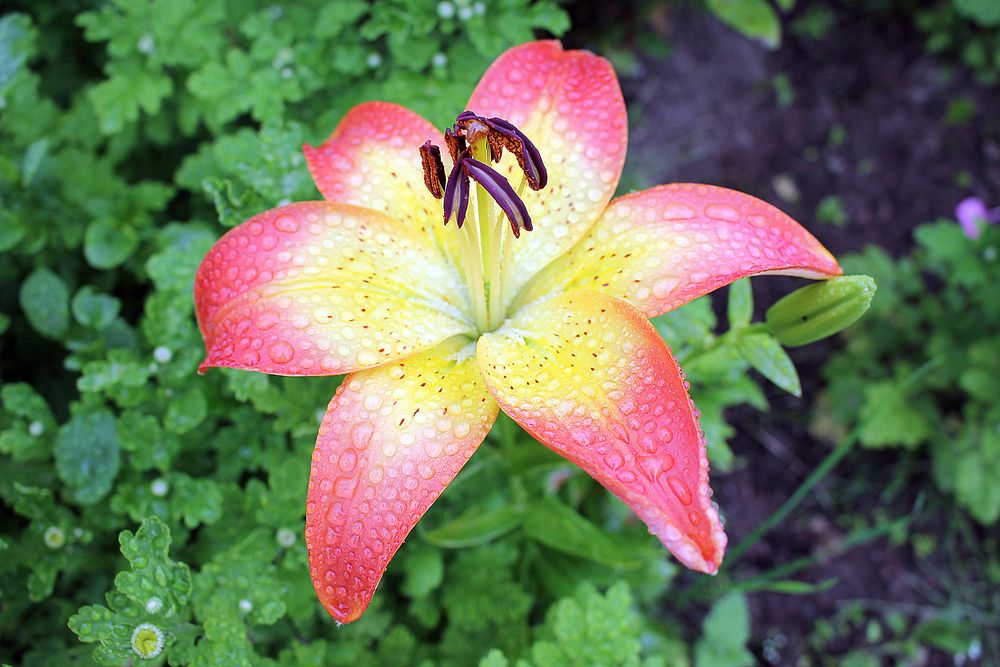 Photograph by Олег Филиппов