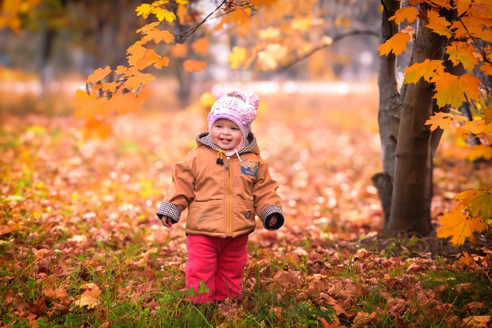 Фотография автора Александр Хухлов