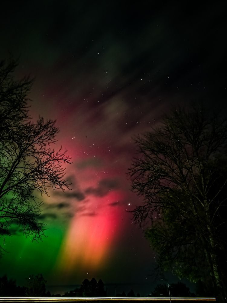 Фотография автора Алиса Исаева