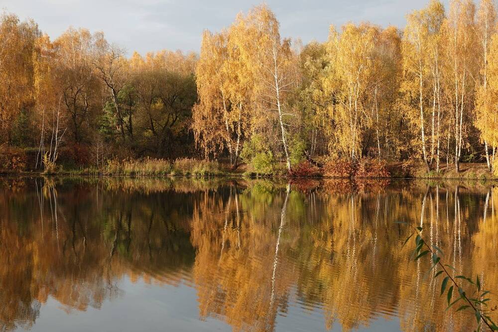 Photograph by Татьяна Орлова