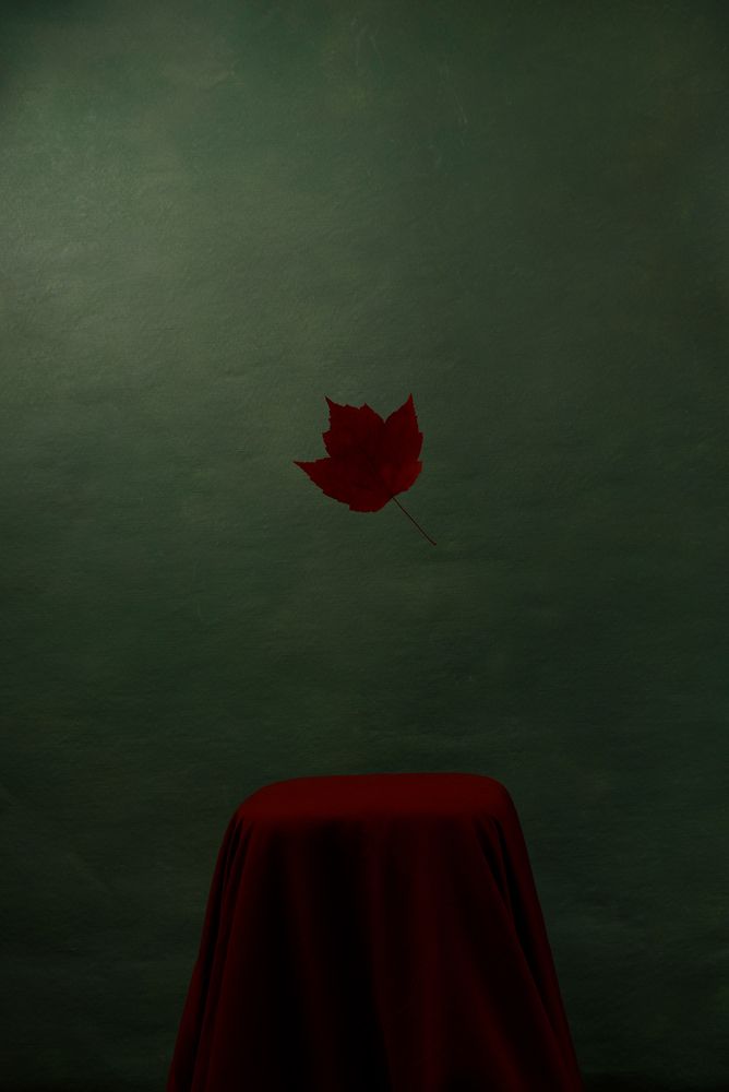 Photograph by Калюжина Татьяна