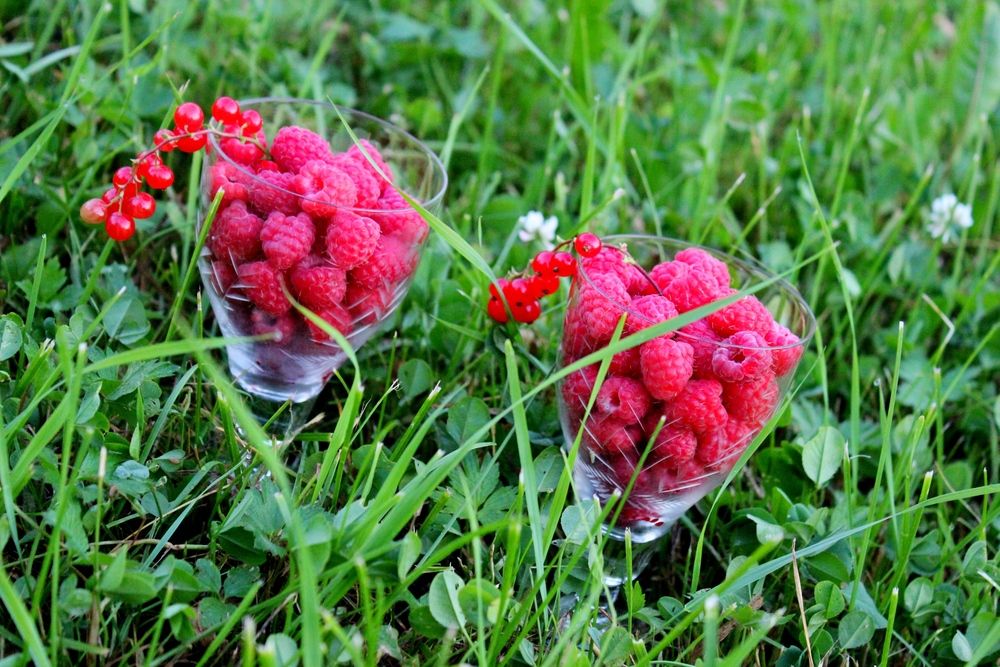 Photograph by Ольга Ситникова