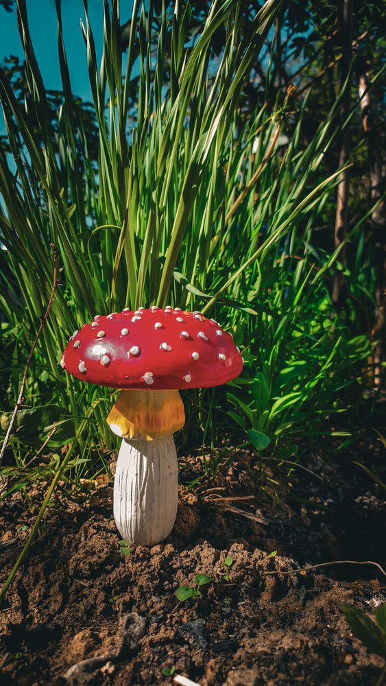 Photograph by Екатерина Никитина