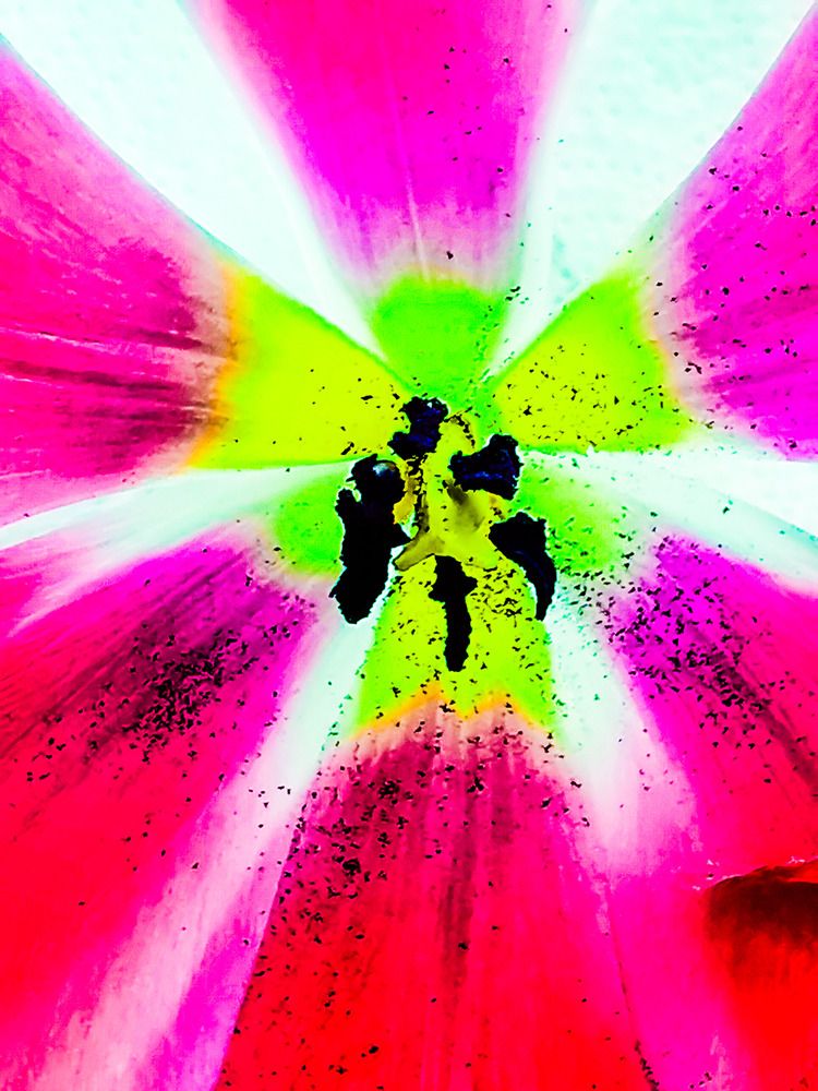 Фотография автора Doris Beckmann