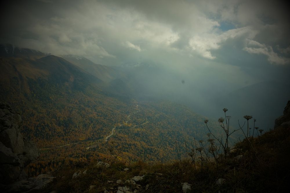 Photograph by Гергерт Вероника