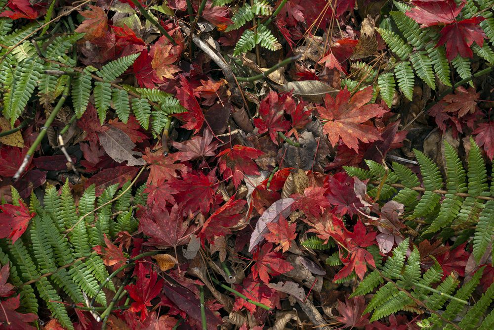 Photograph by Кузнецов Александр