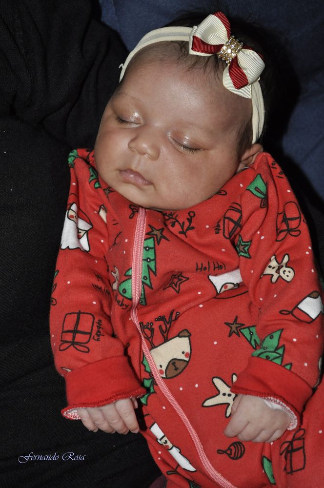 Фотография автора Fernando Rosa