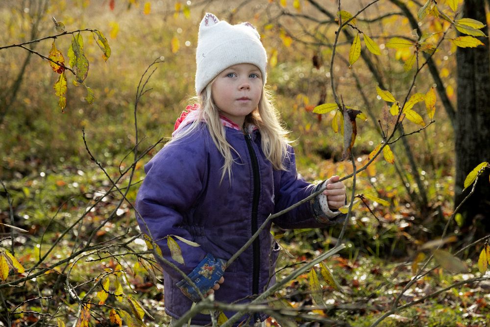 Photograph by Anastasia Vladimirovna