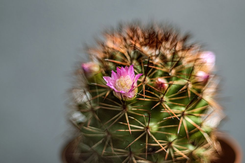 Photograph by Антон Гаврилов