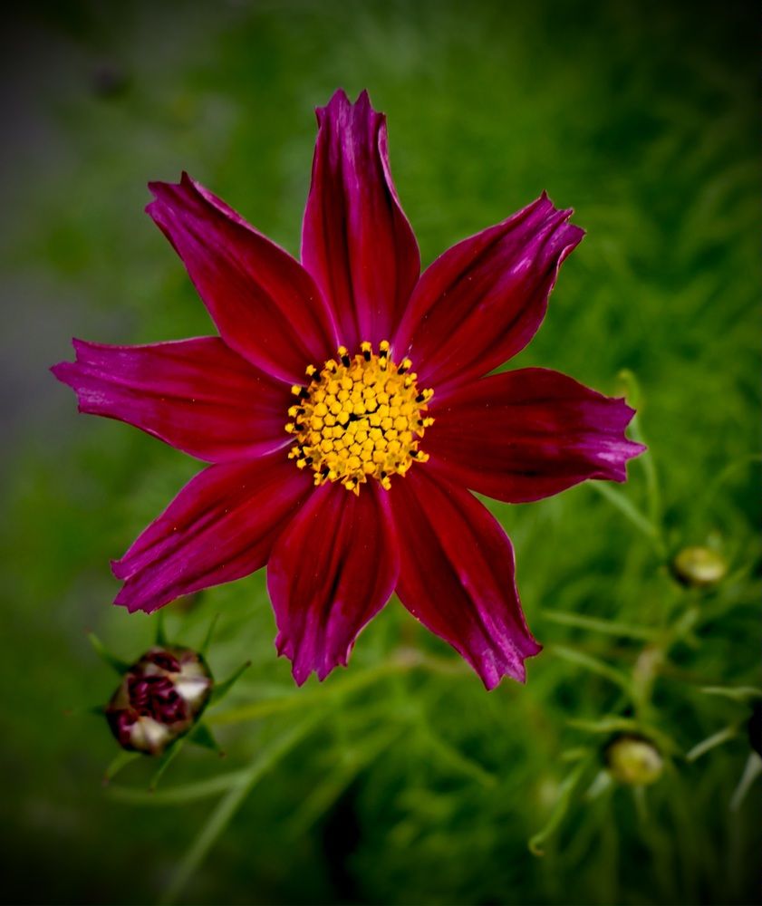 Photograph by Валерий Мыльников