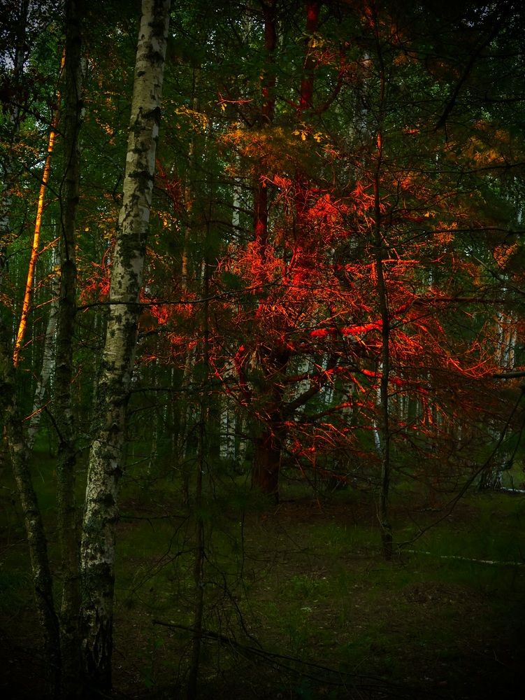 Photograph by Валерий Мыльников