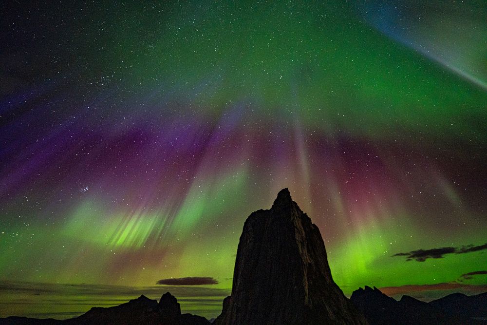 Фотография автора Julia A Caesar