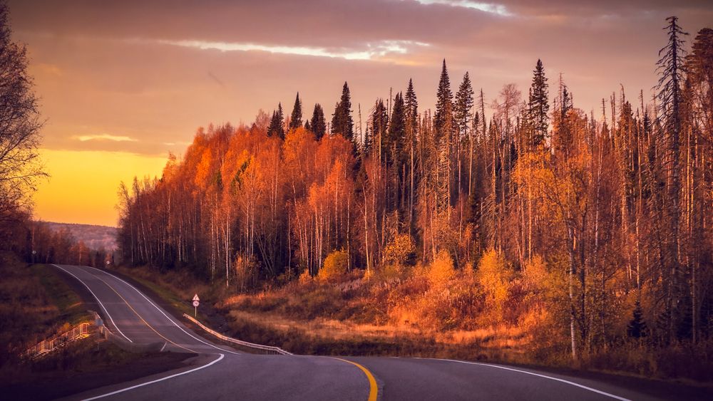 Photograph by Роман Алейников