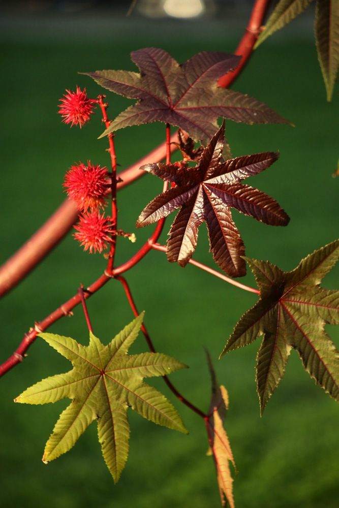 Photograph by Елена Хорошильцева