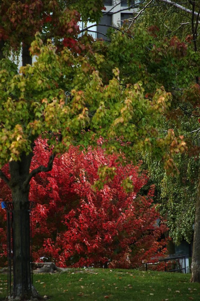 Photograph by Елена Хорошильцева