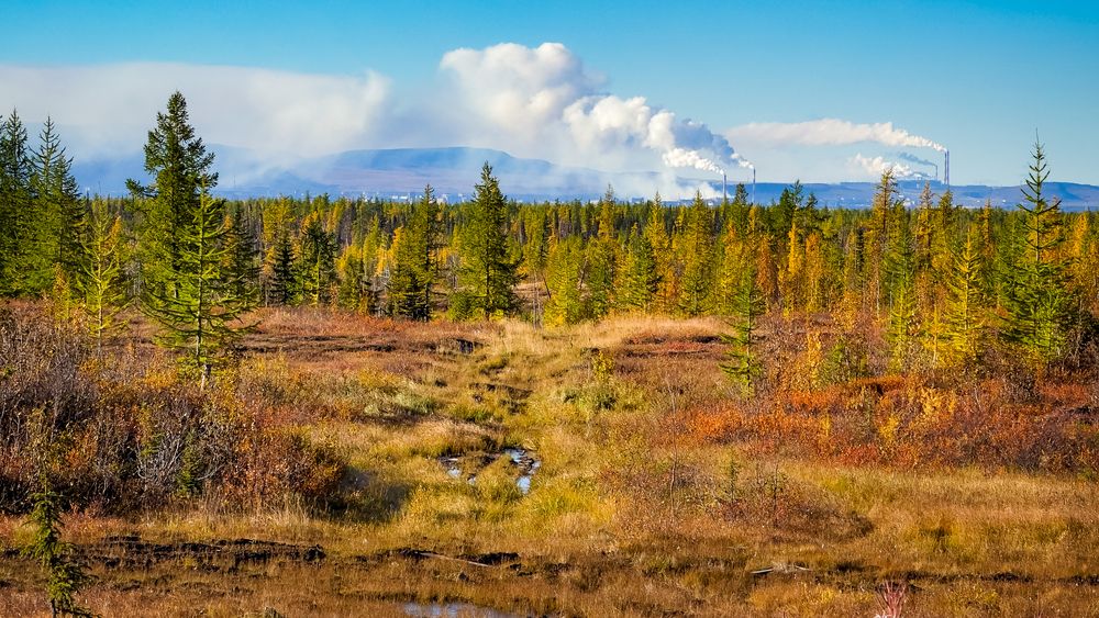 Photograph by Роман Алейников