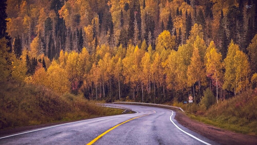 Photograph by Роман Алейников