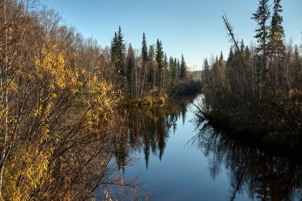 Photograph by Сергей Анисимов