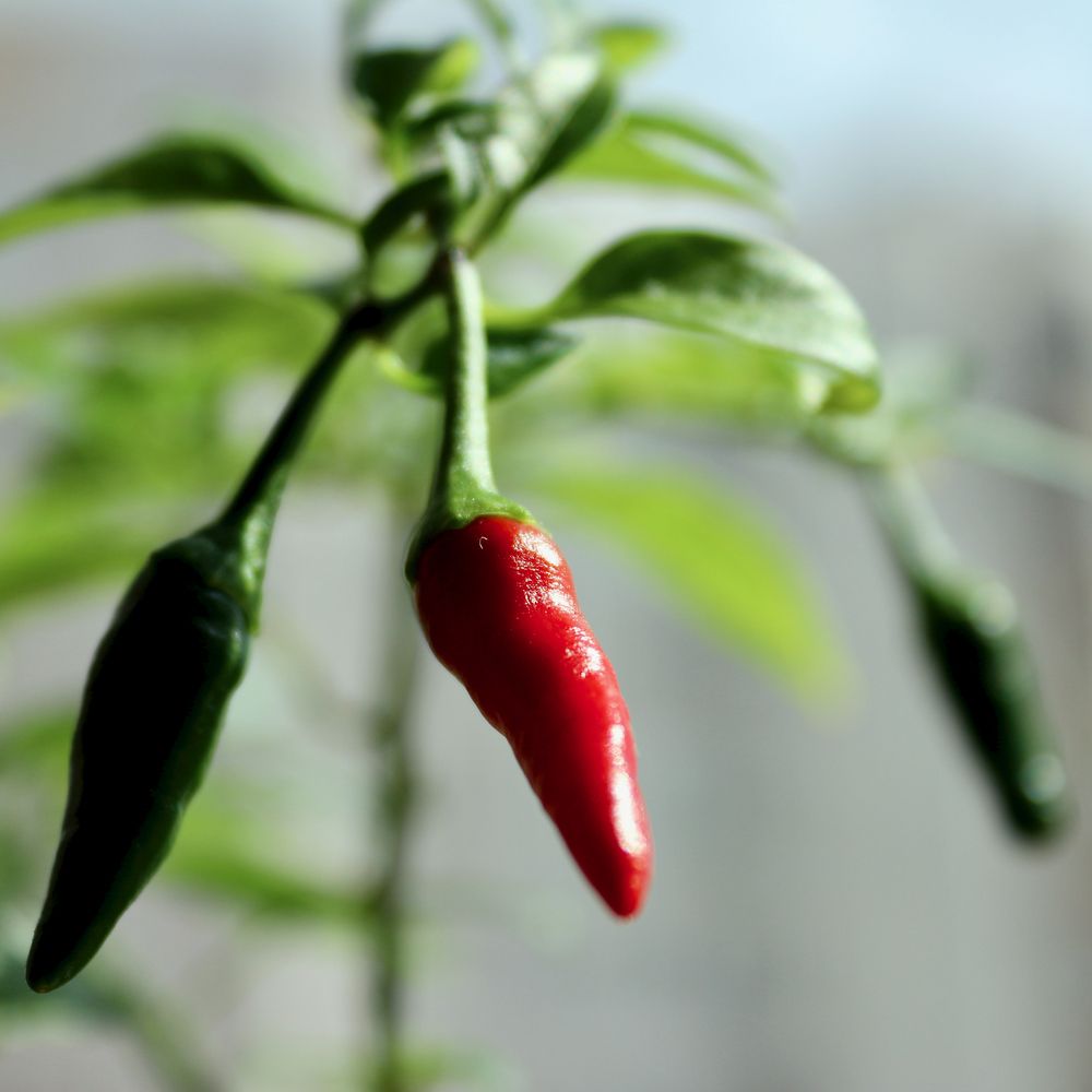 Photograph by Юрий Мокрицкий