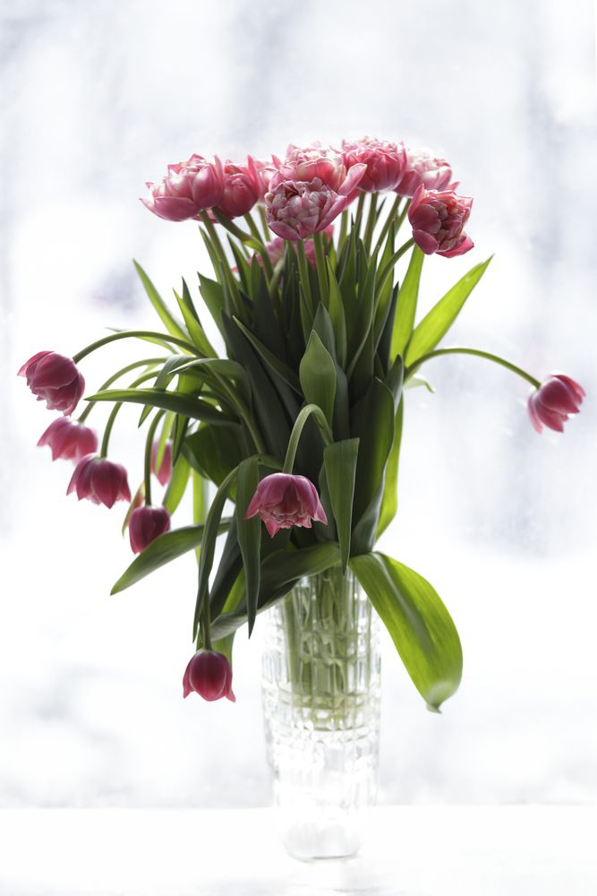 Photograph by Андрей Щербинин