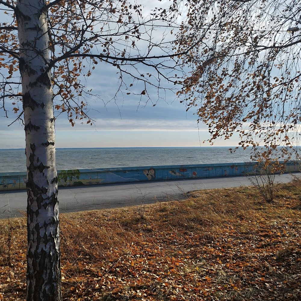 Photograph by Ирина Попелкова