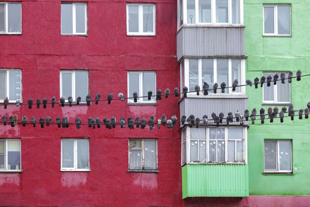 Photograph by Андрей Щербинин